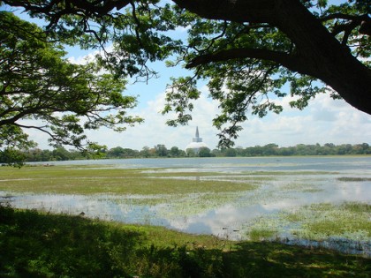 Ruwanweliseya Dagoba phot credit to Nandasiri Wanninayaka