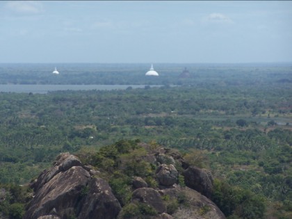 Stupas-at-anuradhapura, a view from Minintale