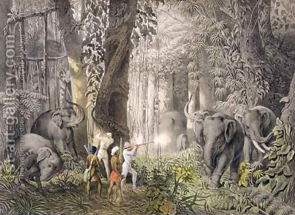 Elephant hunting